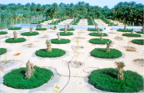 ministry of water agriculture
