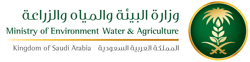 mewa-logo