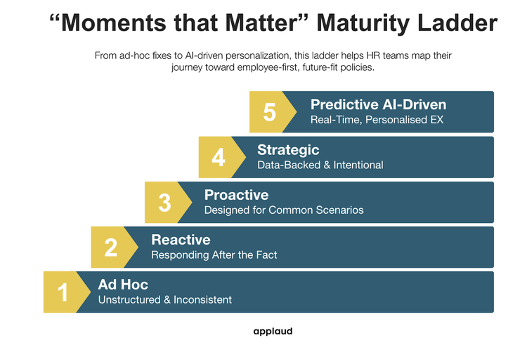 maturity ladder-1