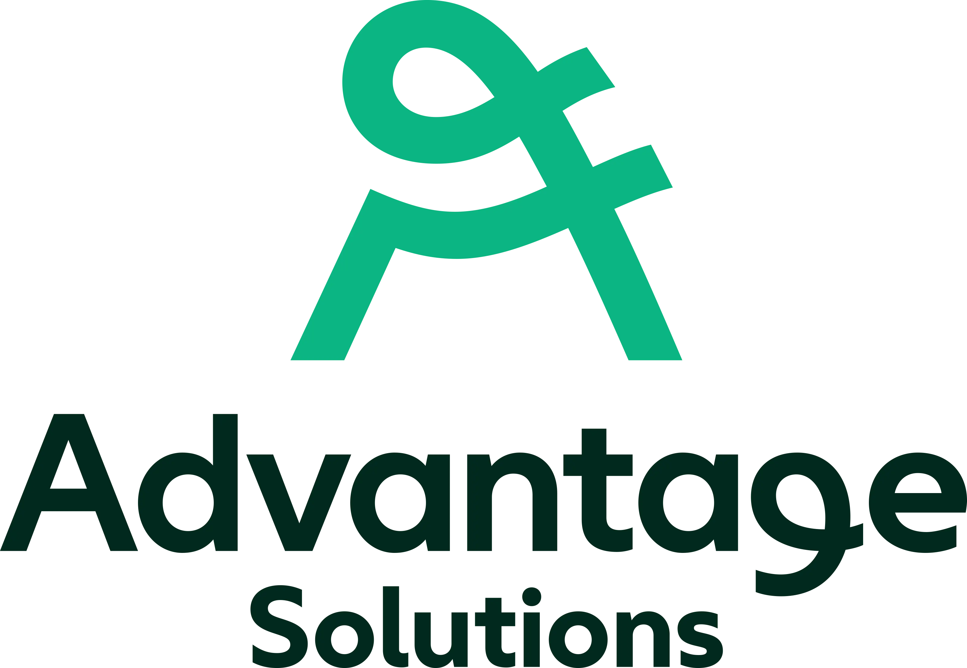 Customer logo